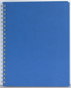 Agenda Premier 208 pagini Ego - Img 1