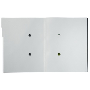 Mapă carton cu separatoare Leitz Recycle, A4, 12 compartimente, CO₂ neutru, 100% reciclat, certificare Blue Angel4