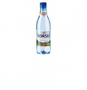 Apă minerală Borsec 0,5L