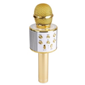 Microfon karaoke cu baterii5