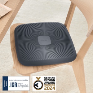 Pernuță ergonomică pentru scaun Leitz Ergo, gri-cărbune2