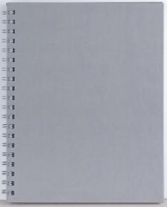 Agenda Premier 208 pagini Ego - Img 3