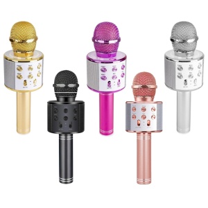 Microfon karaoke cu baterii2