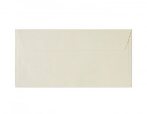 Plic DL autoadeziv (105x216mm), Holland, 120g/mp