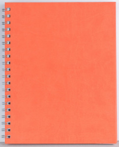 Agenda Premier 208 pagini Ego - Img 4