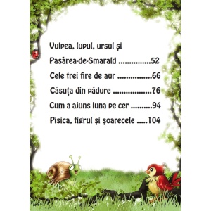 Carte de povești -Tărâmul fermecat3
