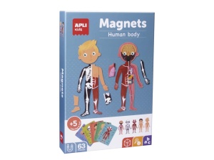 Joc magnetic Corpul uman – 5 modele diferite, 63 piese