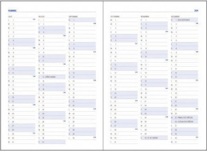 Agenda Basic 360 pagini BR Ego - Img 3