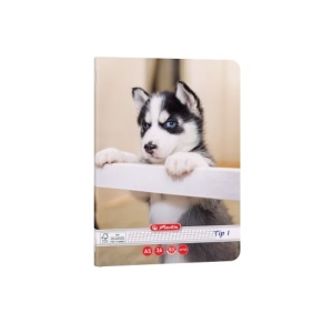 Caiet Herlitz motiv Cats Dogs, A5, 36 file, hârtie 80g/Mp Fsc Mix, Tip I3