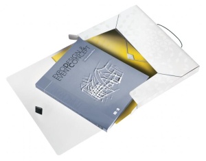 Mapa plastic cu burduf LEITZ WOW A4 30mm, cu elastic și etichetă pe cotor, capacitate 250 coli – ideală pentru organizarea documentelor.