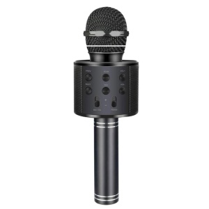 Microfon karaoke cu baterii3