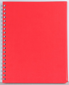 Agenda Premier 208 pagini Ego - Img 7