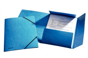 Mapă carton cu elastic Esselte Lux, A4, 150 coli3