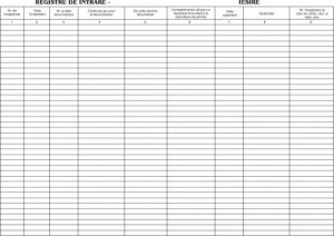 Registru intrare/iesire offset A4, 55 g/mp, 100 file RQ