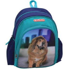 Rucsac băieți Herlitz Cool, motiv Phantom