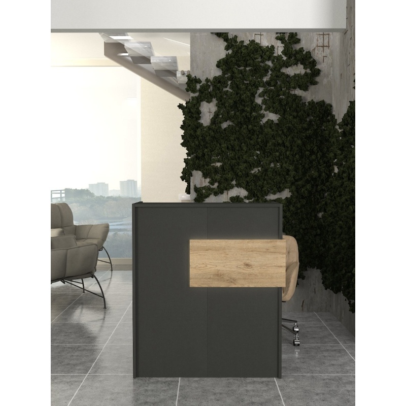 Birou recepție, Aloha LED Front Desk, UnicUtil, Gri-Bej - imagine 5