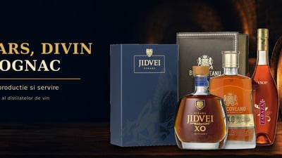Vinars,Divin si Cognac