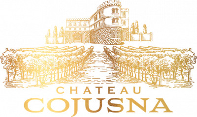 Chateau Cojusna