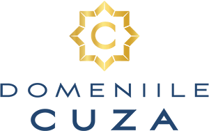 Domeniile Cuza