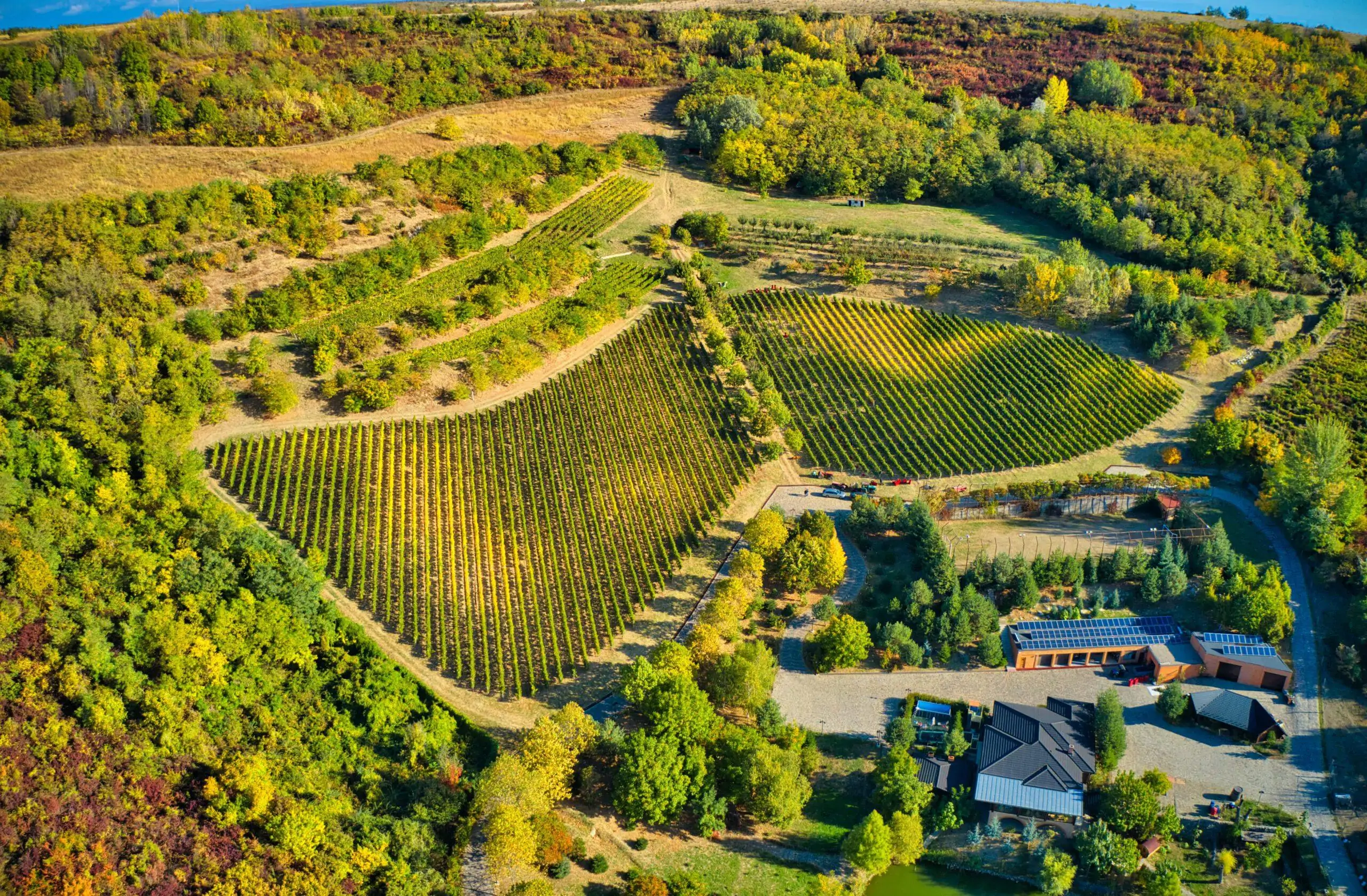 Dealul Golestilor Parinte