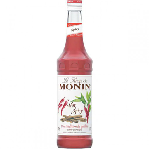 Sirop Monin Spicy 0.7L