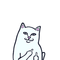 Ripndip