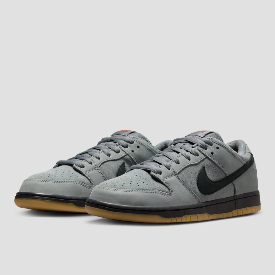 Dunk Low Pro