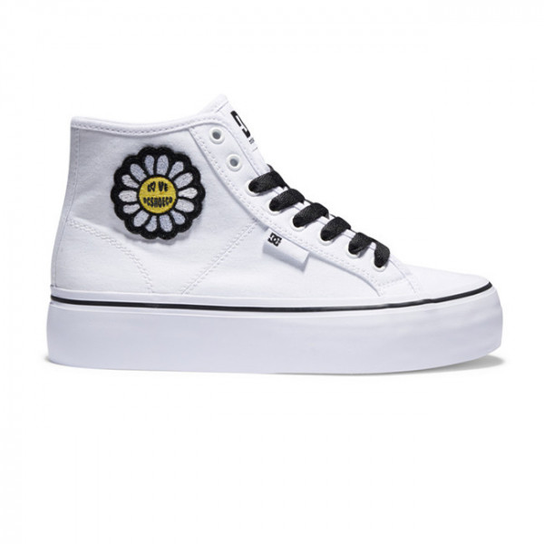 Manual Hi Platform
