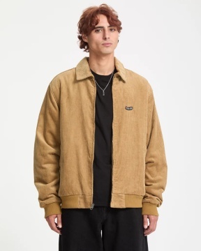 Kurtis
