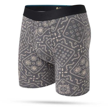Is It Paisley Wholester