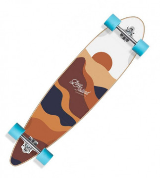 Landscape Essential Pintail