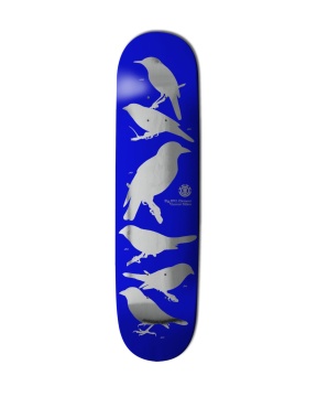 Ornithology Vincent Milou
