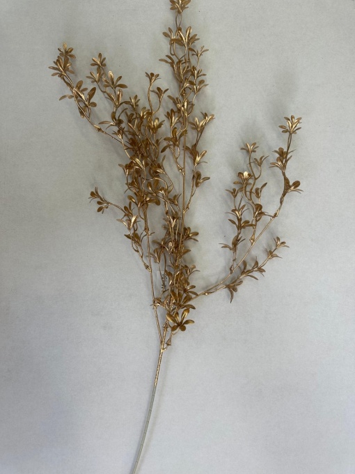 Crenguta aurie cu frunze LM186