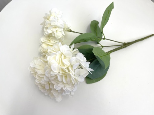 Hortensie MF5 * 5capete * 15cm - Alb