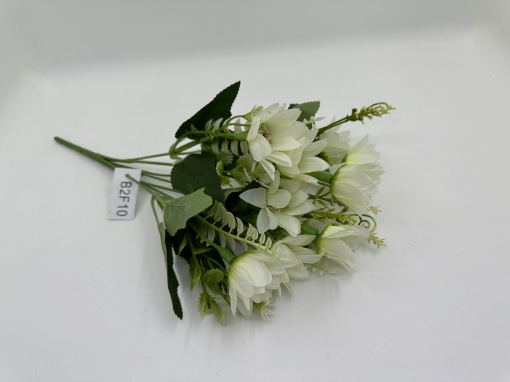 Margarete mici albe B2F 10