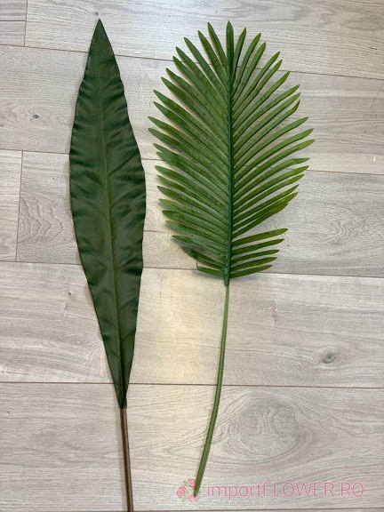 Frunza tip sabie L-2 * 70cm