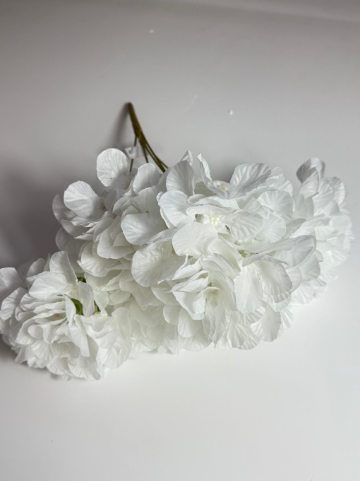 Hortensie transparenta 6 fire * 15cm*/MF44 - Alb