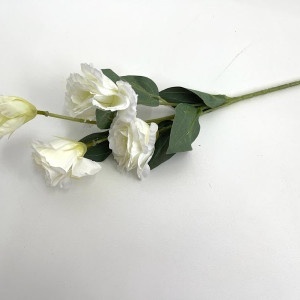 Lisianthus 2F-2 * 3capete * 60cm - Alb