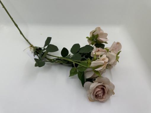 n261 pastel caramiziu