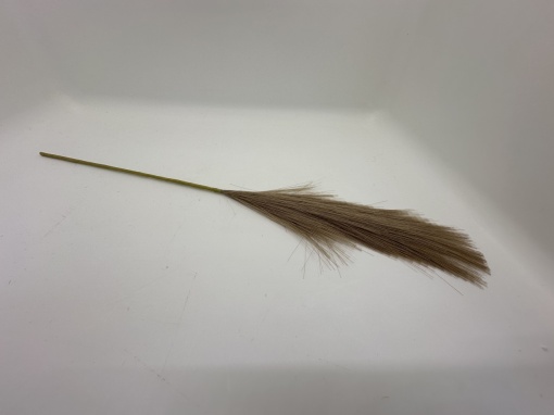 Pampas bej fir X10 mic