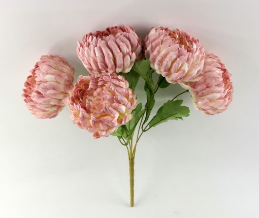 Buchet crizanteme roz 83024-5/CREAM-PINK