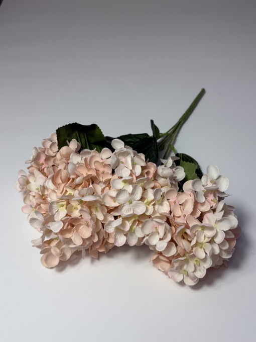 Buchet hortensie marunta cu 5 capete - Roz