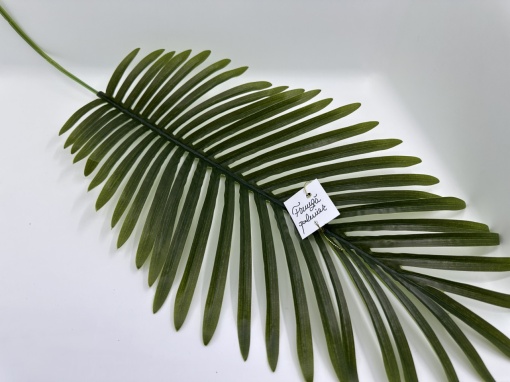 FRUNZA VERDE PALMIER