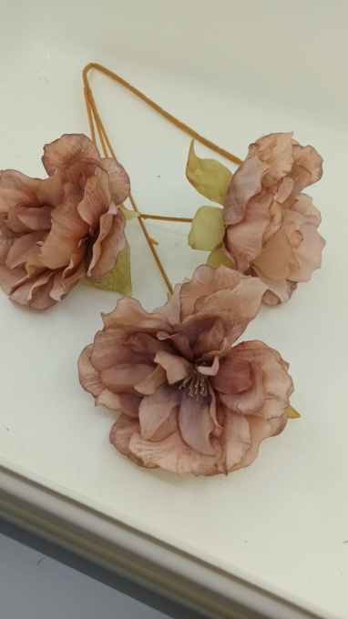 Anemone Coffee
