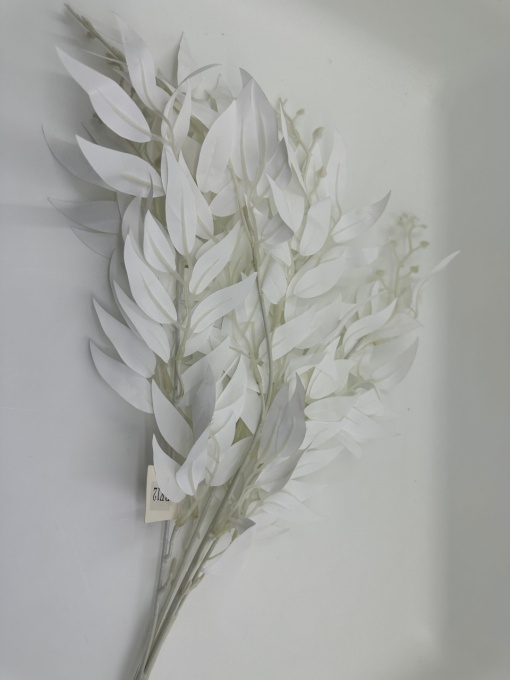 Buchet frunze albe ruscus BF 12