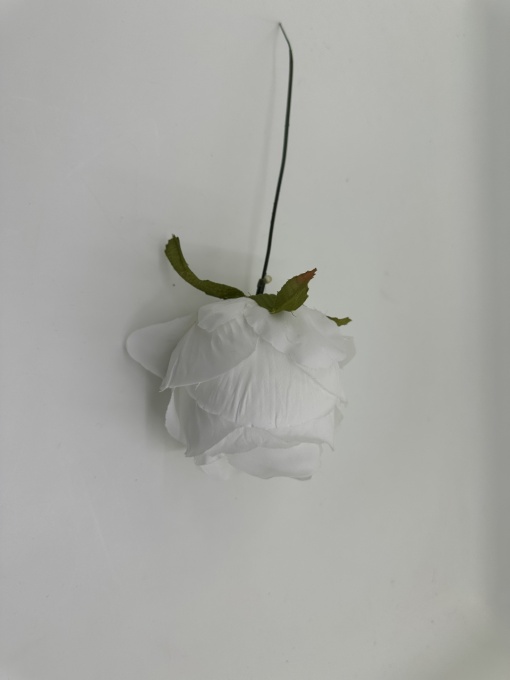 Capete trandafiri mari 10cm - ALB
