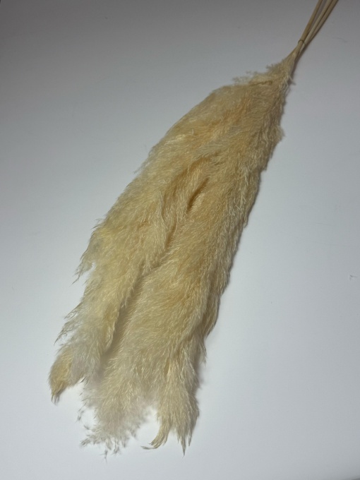 Pampas alb 3 buc/set 71809-1-650