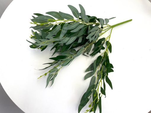 Ruscus L-1/L-2/BF-10 - Verde