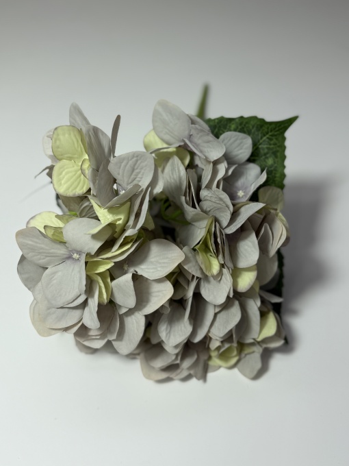 Buchet cu 5 capete hortensie cu frunza lata - Gri