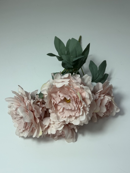Buchet cu 7 bujori MF24 * 15cm - Roz-ciocolatiu